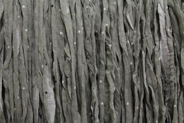 2. Harmaa pilkullinen